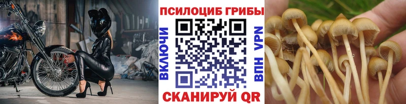 Галлюциногенные грибы MAGIC MUSHROOMS  Купить закладки  Кодинск 